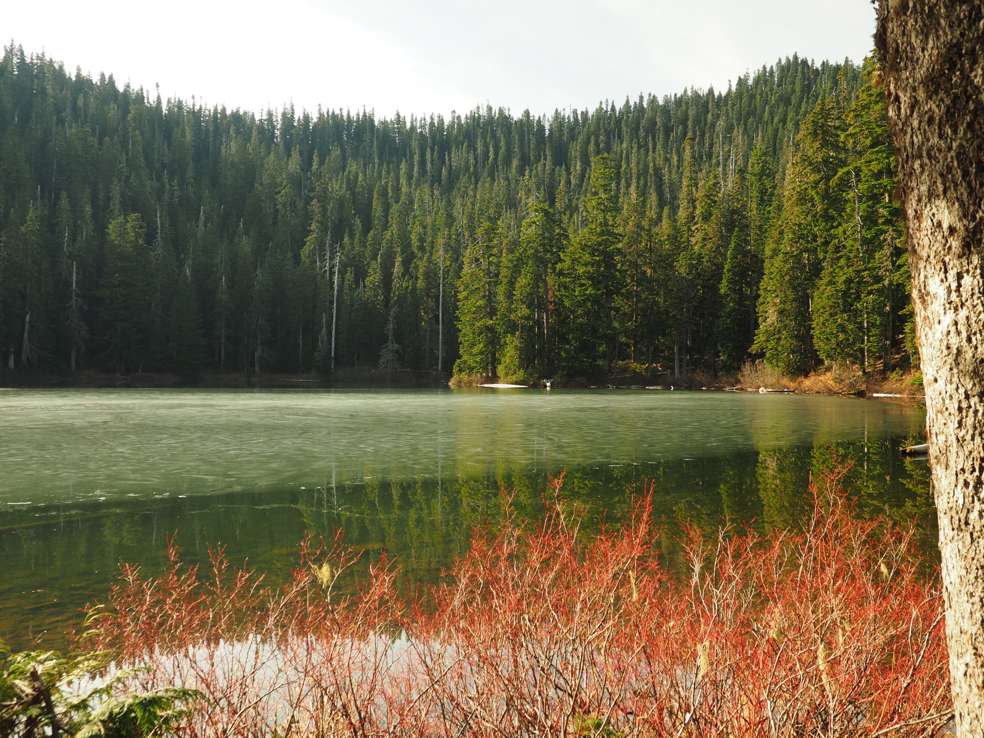 Soda Peaks Lake — Washington Trails Association